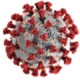 Photo of Novel Coronavirus by CDC on Unsplash